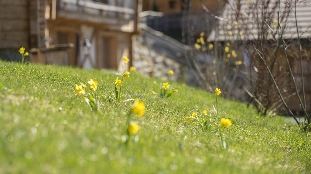Chaletdorf Bergherz Sankt Johann im Pongau Zewnętrze zdjęcie